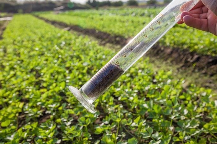 Amostragem de solo agricultura de precisão